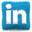 LinkedIn icon Website
